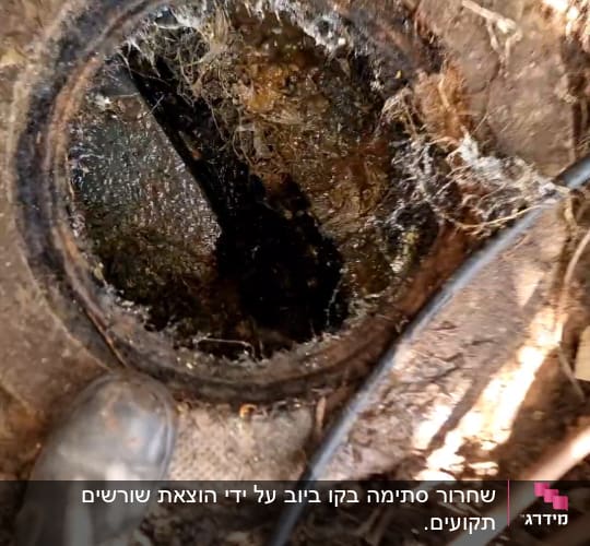 פתח ביוב עם לכלוך וחוטים, כבל חשמלי ליד